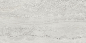 Unique Travertine Vein Cut Silver Naturale Tecnica R11 ELLJ