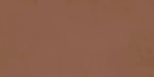 Керамогранит Ragno Decora Terracotta Rett RA5F 60x120 матовый