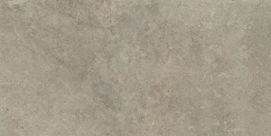 Керамогранит Ragno Richmond Musk Rett RAFX 60x120 противоскользящий