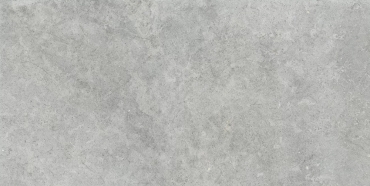 Керамогранит Ragno Richmond Silver Rett RAFW 60x120 противоскользящий