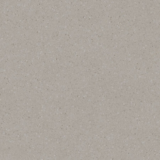 Compila Grey-Beige DAF62867