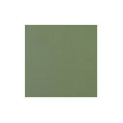 Retro Tozz Sage NTOR4