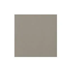 Retro Tozz Taupe NTOR5