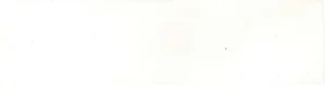 Плитка Revoir Paris Atelier WW_013 Blanc De Lin Mat 6,2x25 матовая
