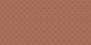 Керамогранит Rex I Filati Happy Hour Scarlatto (6mm) 767224 60x120 матовый