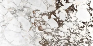 Керамогранит Rex Les Bijoux Breche Capraia Gloss 765783 60x120 полированный