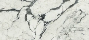 Керамогранит Rex Les Bijoux Calacatta Altissimo Blanc Gloss 765781 60x120 полированный