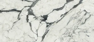 Керамогранит Rex Les Bijoux De Rex Calacatta Altissimo Blanc Matte 766329 60x120 матовый