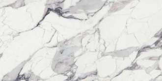 Les Origines De Rex Argent Matte 9mm 770434