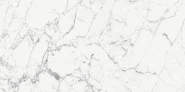 Керамогранит Rex Les Origines De Rex Blanche Glossy 9mm 770439 80x180 глянцевый