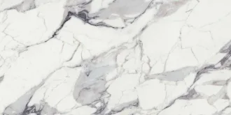 Origines De Rex Argent Glossy 769859