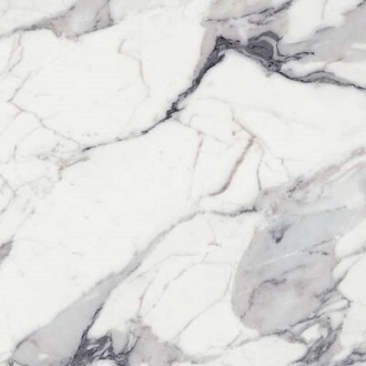 Origines De Rex Argent Matte 9mm 769839