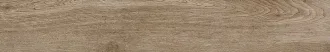 Selection Oak Amber 737650