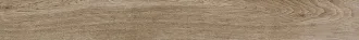Selection Oak Amber 737656