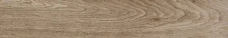 Selection Oak Amber 737662
