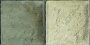 Керамогранит Ribesalbes Island Leaf 10x20 (10x10) матовый