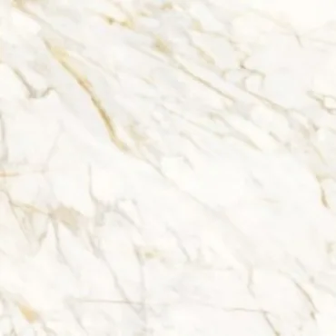Керамогранит Roberto Cavalli Lush Calacatta Oro Lux 500874 59,4x59,4 полированный