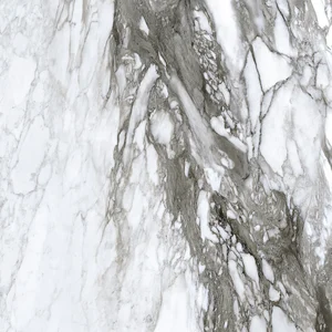 Керамогранит Roberto Cavalli Lush Calacatta Renior Lux Ret. 500849 120x120 полированный