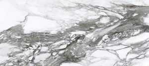 Керамогранит Roberto Cavalli Lush Calacatta Renoir Lux 500867 59,4x119 полированный