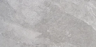 Axis Grey