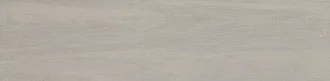 Rovere Cenere 4080205