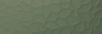 Leaf Colours Forest