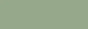Плитка Sant Agostino Spring Green CSASPRGE00 25x75 матовая