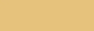 Spring Yellow CSASPRYE00