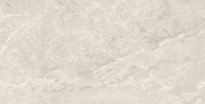 Керамогранит Sant Agostino Trumarmi Silver CSATMSIL12 60x120 матовый