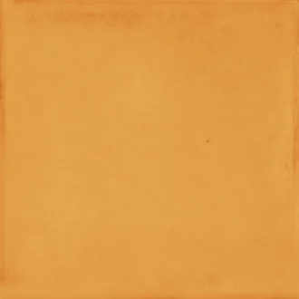 Vita Arancione Luc CSAVARLU20