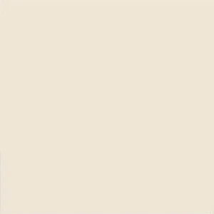 Плитка Vives Satinados Beige Mate 20x20 матовая