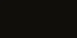 Плитка Vives Satinados Negro Mate 30x60 матовая