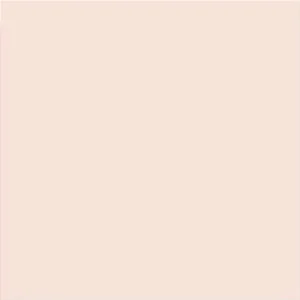 Плитка Vives Satinados Salmon Mate 20x20 матовая