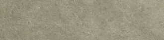 Shade Dove Greige Listello P16938