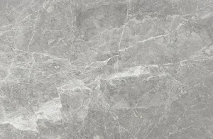 Керамогранит Sichenia Mus_Eum Amazing Grey Spess Esterno 20 mm 184993 60x90 матовый