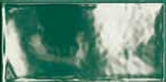 Mini Verde Glossy 19341Q