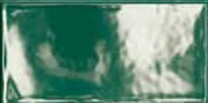 Плитка Sichenia Mini Verde Glossy 19341Q 6,3x12,5 глянцевая