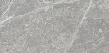 Керамогранит Sichenia Mus_Eum Fondo Amazing Grey Lux 184653 60x120 полированный