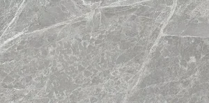 Керамогранит Sichenia Mus_Eum Fondo Amazing Grey Lux 184653 60x120 полированный