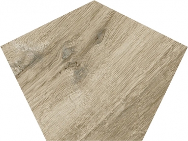 Керамогранит Sichenia Silvis Rovere Turtle 183412 49,5x66,5 матовый