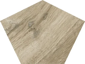 Керамогранит Sichenia Silvis Rovere Turtle 183412 49,5x66,5 матовый