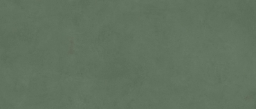 Керамогранит Simpolo Spectra Herb MPL-060348 120x278 матовый