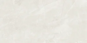 Керамогранит Sina Tile Nismo Grey Polish 2666 60x120 полированный