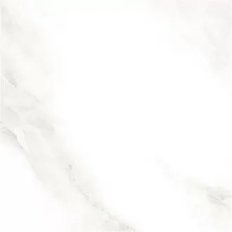 Shine Grey Polished 2573