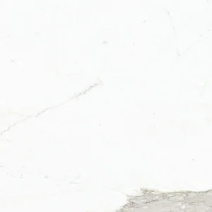 Керамогранит FMG Sq. White Calacatta N. P66389 60x60 матовый