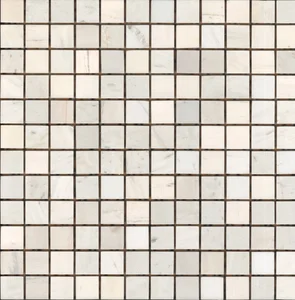 Мозаика Starmosaic Wild Stone MwP 30x30 полированная