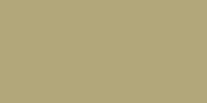 Керамогранит Staro Monocolors Плитка Elite Avocado 60x120 5мм Matt 61403575 матовый