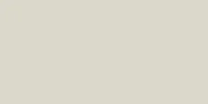 Керамогранит Staro Monocolors Плитка Elite Mushroom 60x120 5мм Matt 97020890 матовый