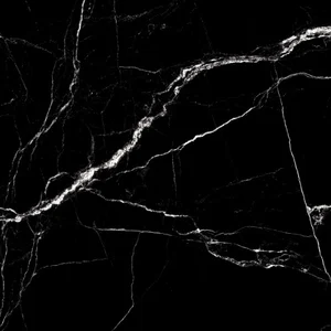 Керамогранит Staro Oasis Fossil Slate High Gloss 60x60 полированный