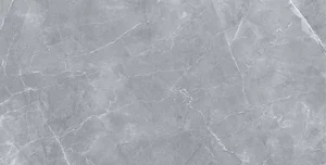 Керамогранит Staro Palacio Armany Polished 60x120 полированный